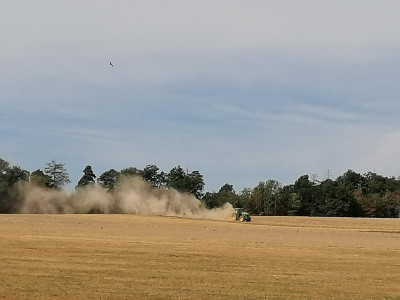 IMG_20220829_112746.jpg