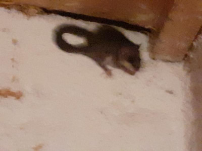 20220825_220650.jpg
