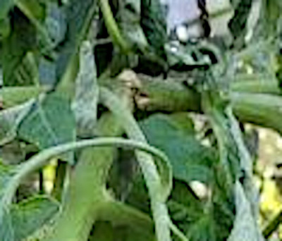 20220830_105711.jpeg