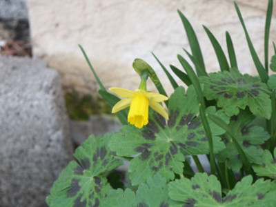 tete_a_tete_samobor.jpg
