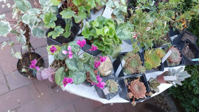 IMG-20220827-WA0023.jpeg
