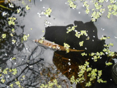 DSCN4857.JPG