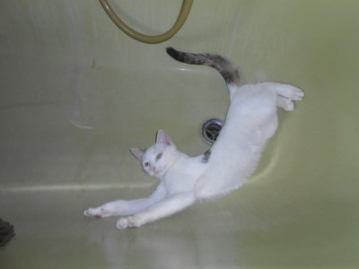 DSCN4841.JPG