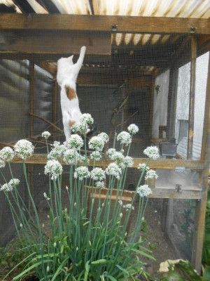 DSCN4862.JPG