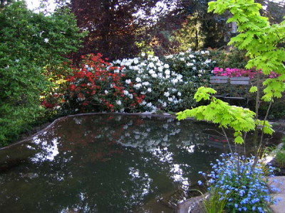 teich_0059.jpg