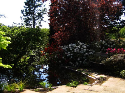 teich_0061.jpg