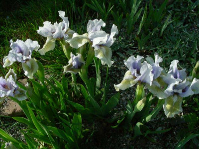 Agathes_DSCN2172.JPG