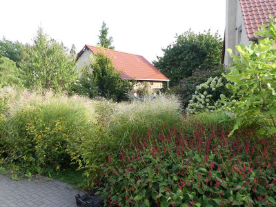 2022-08-31 Garteneinblick 1.jpg
