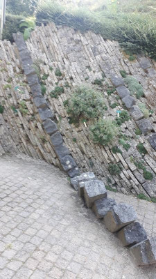 20220903_114755.jpg