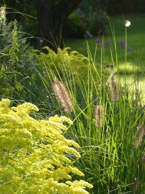 2022-09-03 Gartenimpressionen 1.jpg