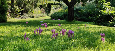 2022-09-04 Gartenimpressionen 1.jpg
