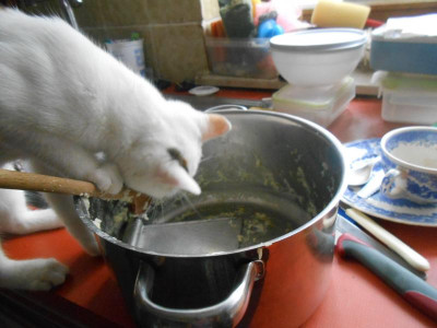 DSCN4866.JPG
