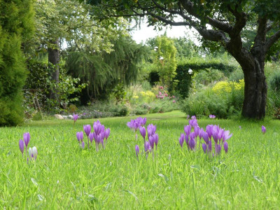 2022-09-04 Gartenimpressionen 4.jpg