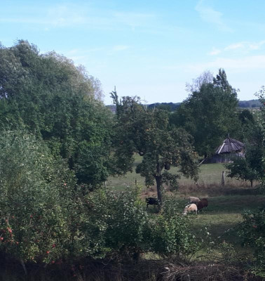 20220904_050141.jpg