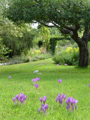 2022-09-04 Gartenimpressionen 5.jpg