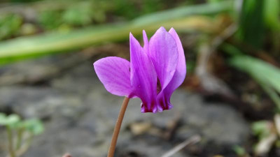 DSC03700.JPG