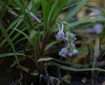 DSC_6097_DxO.jpg