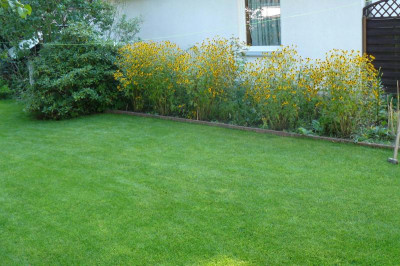 Borkers Garten 001.jpg