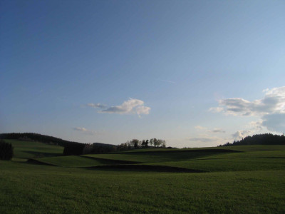 wiesenmai.jpg