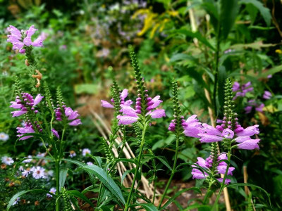 20220908_105948.jpg