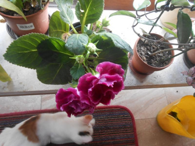 DSCN4933.JPG