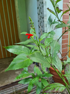 20220907_141757.jpg