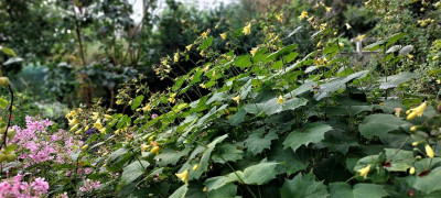 20220910_105928.jpg