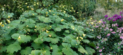 20220910_105951.jpg