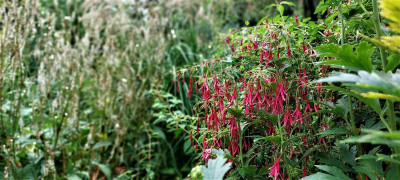 20220910_105850.jpg