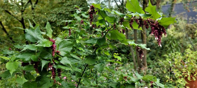 20220910_110459.jpg