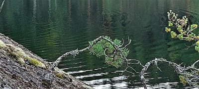 20220828_122801.jpg