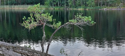 20220828_122322.jpg