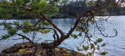 20220828_164608.jpg