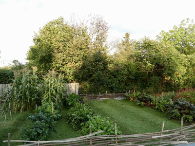 tg_220910_1.jpg