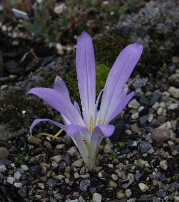 DSC_6127_DxO.jpg