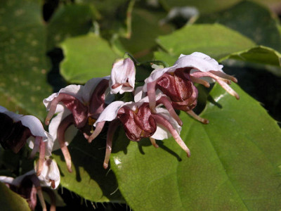 DSCN0112_u.jpg