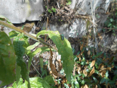 DSCN4922.JPG