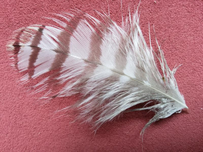 20220913_082909.jpg