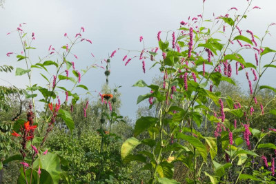 P1041645.JPG