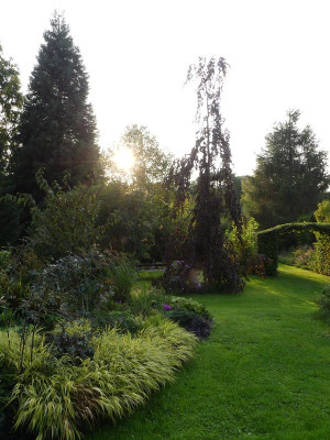 2022-09-13 Gartenimpressionen 1.jpg