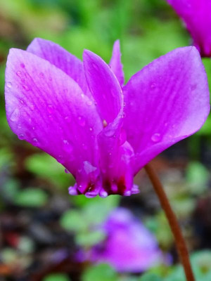 DSC03770~2.JPG