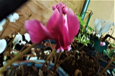 20220909_105713.jpg