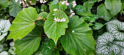 20220915_105617.jpg