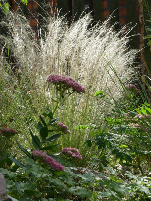 2022-09-16 Gartenimpressionen 1.jpg