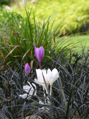 2022-09-16 Gartenimpressionen 2.jpg