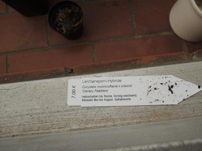 DSCN4127.JPG