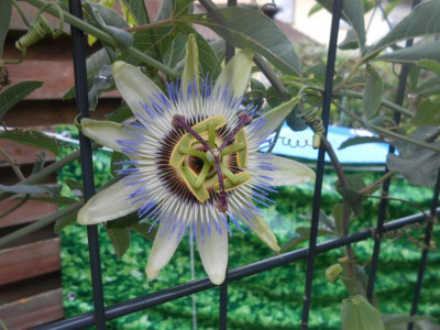 DSCN4961.JPG