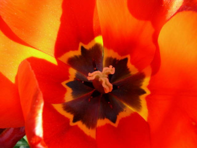 P1100914.jpg