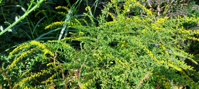 20220921_100129.jpg