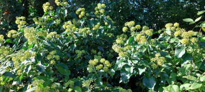 20220921_100802.jpg